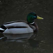 Foto: Jörg Recoschewitz