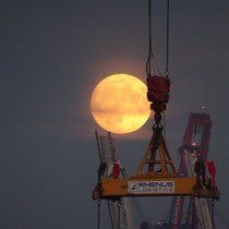 Riesiger Mond einen Tag vor dem Maximum - Foto: Gesine Schwerdtfeger