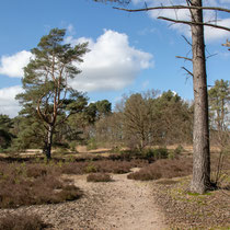 Holmer Sandberge - Foto: Britta Hamann