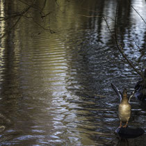 Foto: Gesche Andresen