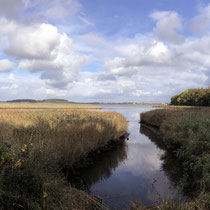 Naturschutzgebiet ,,Geltinger Birk" - Foto: Gerd Jürgen Hanebeck