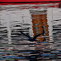 Überm Wasserspiegel Ort: Binnenalster - Foto: Karl-Horst Fricke