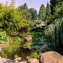 Botanischer Garten - Foto: Monika Stock