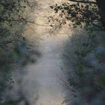 Mystisch, Neuwiedenthal - Foto: Volker Svensson