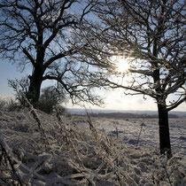 06   Winter im Landkreis   -   Foto:  ?