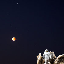 Blutmond, Neugrabener Heide - Foto. Dagmar Esfandiari