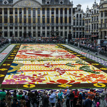 Flower Carpet, Brüssel - Foto: Hans Dieckmeyer