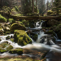 Ilsetal, Harz - Foto: Gesche Andresen