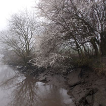 Nebel in Wedel - Foto: Hans Dieckmeyer