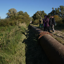 7 Foto: Willi Heinsohn