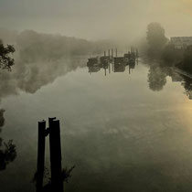 Nebel, Süderelbe - Foto: Michael Wohl-Iffland