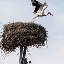 6. Platz 173 Pkt.   Natur und Technik   -   Foto:   Holger Tobuschat