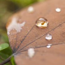 Foto: Janine Brauneis