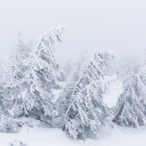 Der Winter ist endlich dar - Foto: Holger Tobuschat