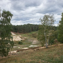 Kiesgrube, FischbekerHeide - Foto: Pertti Raunto