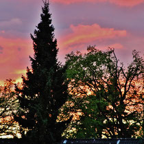 Sonnenuntergang - Foto: Lothar Boje