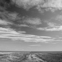 Hamburger Hallig - Foto: Gesche Andresen