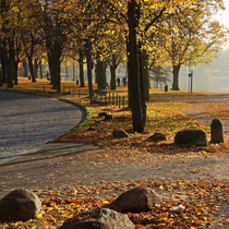 Außenmühle im Herbst - Foto: Hans Dieckmeyer