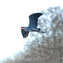 Foto: Jörg Recoschewitz