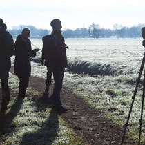 Wintervogelzählung im Gegenlicht mit Rauhreif - Ort: Klein-Moor - Foto: Gesine Schwerdtfeger
