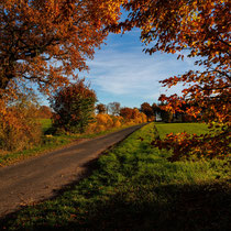 Herbstlich - Ort: Grünental - Foto: Britta Hamann