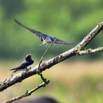 Foto: Karl-Horst Fricke