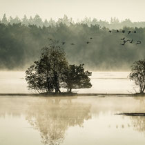 24 Moorimpression - Ort: Tister Bauernmoor - Foto: Dr. Reinhard Feldhaus