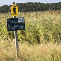 Winde wehen - Foto: Holger Tobuschat