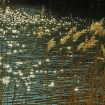 Wasser-Lichtreflektionen, Bramfeld - Foto: Lothar Boje