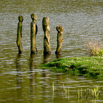 Holzmenschen in der alten Süderelbe   -   Foto Gesine Schwerdtfeger