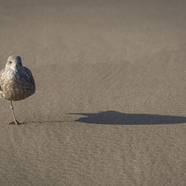 Foto:   Holger Tobuschat