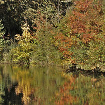 Herbst, Farbenzauber in Bramfeld - Foto: Lothar Boje