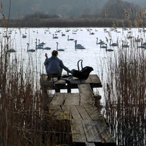 Pause am See der Schwäne - Foto: Gesine Schwerdtfeger