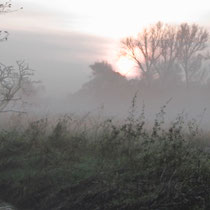 Frühnebel im Neugrabener Moor - Foto: Volker Svensson