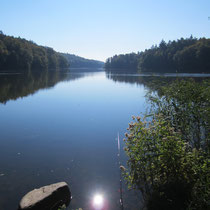 Blick auf den Möllner Schmalsee