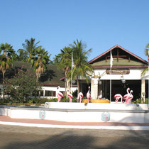 Hôtel Flamingo