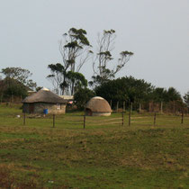 Maison zoulou avec la hutte des ancêtres