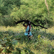 Cette femme ramasse du bois en pleine jungle alors qu'un tigre traîne dans le coin, nous venons de voir des traces.