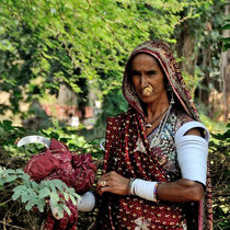 Même pour aller aux champs les femme portent leurs bijoux et sont habillées de beaux saris.