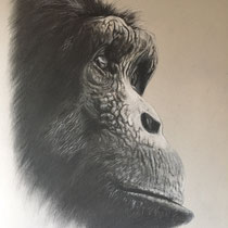 Dennis Parrish, "Rodney's Hope", charcoal on paper.