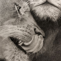 Neetu Commar, "Beauty & the Beast", 8"x 10", pencil on paper.