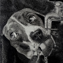 Anjali Desai, "Thirsty", 8"x 10", pen and ink on paper.