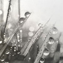 Priya Bhide, "Morning Dew", 8"x 10", pencil on paper.