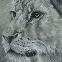 Birute Donovan, "Lion", 8"x 10", charcoal on paper.
