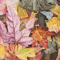 Neetu Commar, "Fall Colors", pen and ink, 11"x 14".