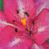 Nancy Kirkup, "Stargazer", 8"x 8", soft pastels on paper.