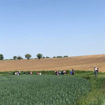 Randonneurs au bord de l'herbe 