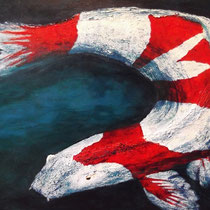 Koi