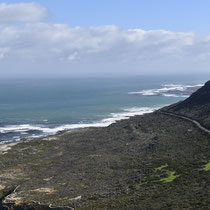 Beschermde gebieden van de regio Cape Floral, Wes-Kaap, Zuid Afrika No. 1007bis