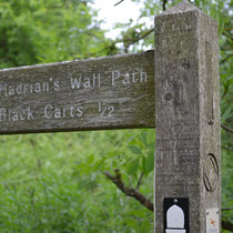 Hadrian Wall, North of England, United Kingdom No. 430ter
